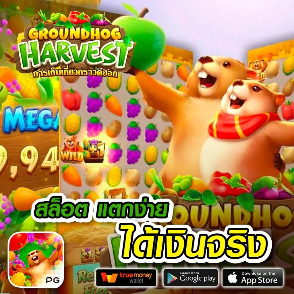 ดูผลบอล888 แบรนด์คาสิโนออนไลน์อันดับหนึ่ง เดิมพันง่าย ได้เงินจริง