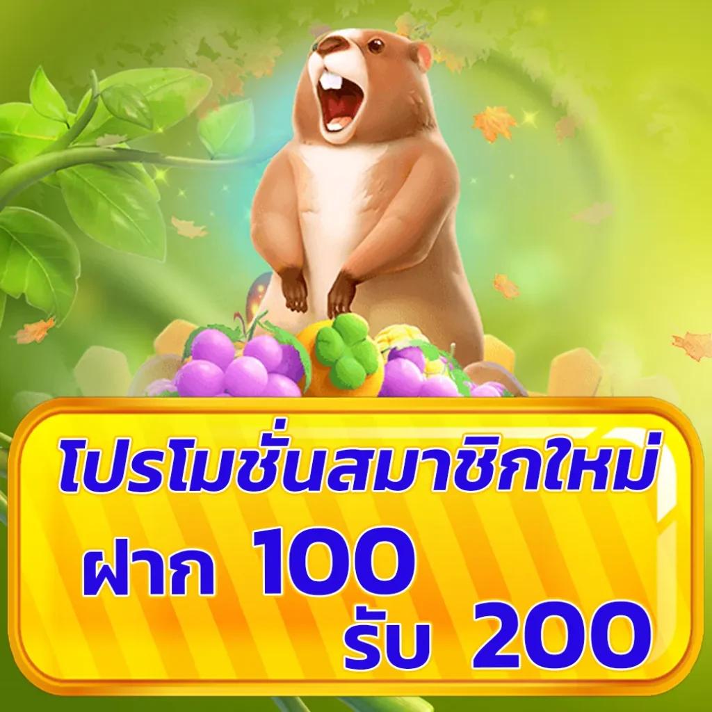 เข้าเล่นกับ hotwin888 คาสิโนออนไลน์ยอดนิยมไทยล่าสุด 2024